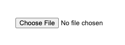 File input standard